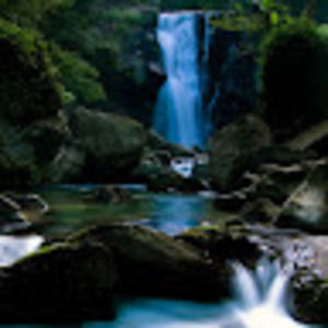 Meet your Posher, Luis